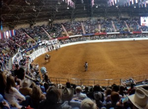 2017-02-04_195346_rodeo